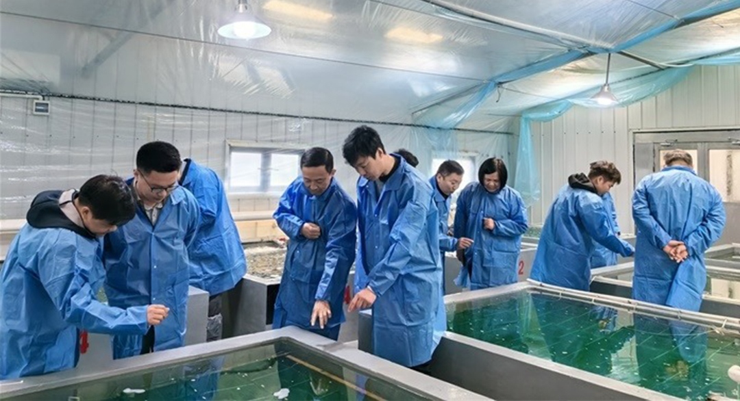 imgi_9_1764149842901955183副本